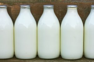 Does Powdered Milk Need To Be Refrigerated After Mixing: Read This